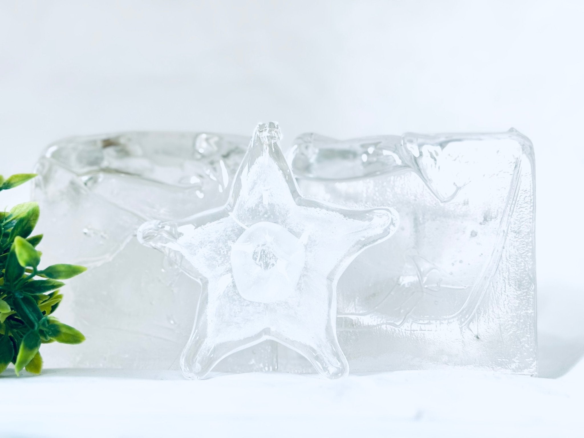 "Étoiles" en verre avec cendres funéraires - La Meduse - Verre soufflé