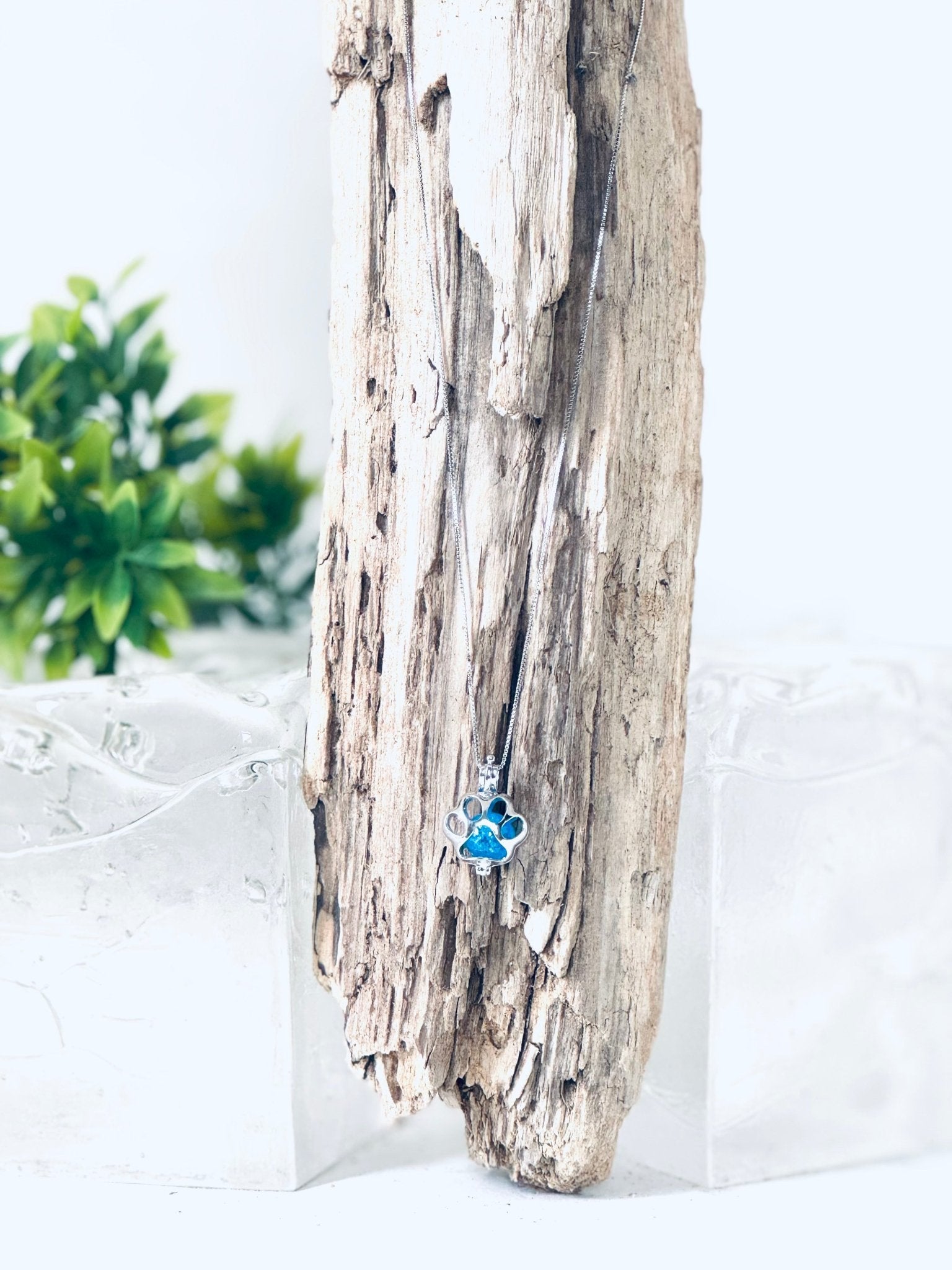 Collier "Bille de mémoire" (patte d'animal) pour cendres funéraires - La Meduse - Verre soufflé