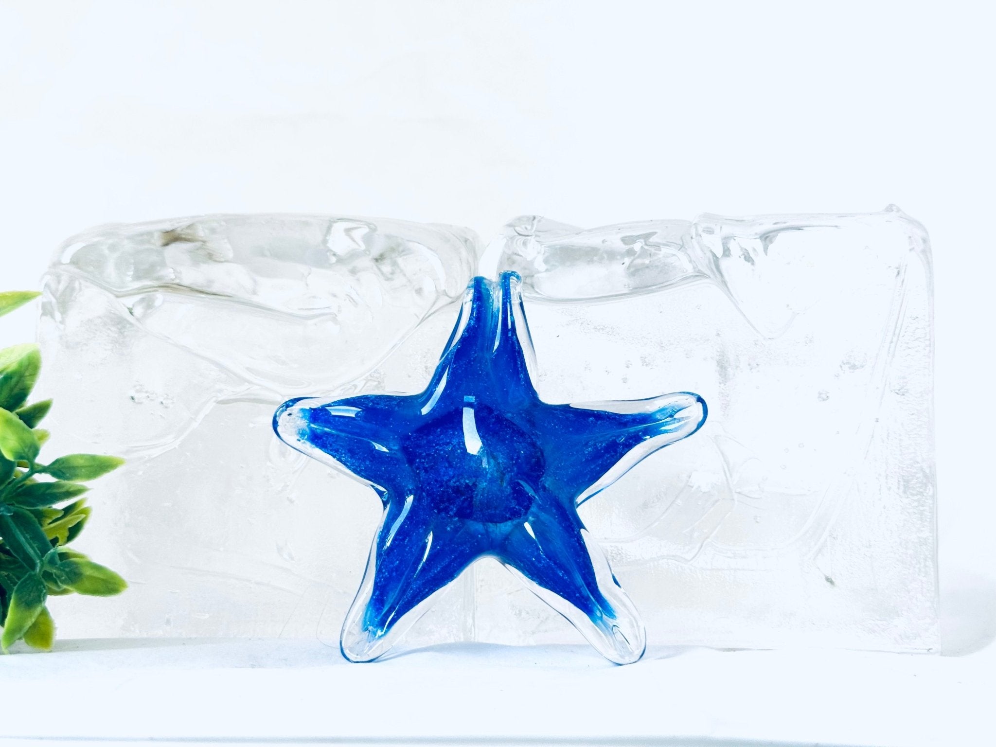 "Étoiles" en verre avec cendres funéraires - La Meduse - Verre soufflé